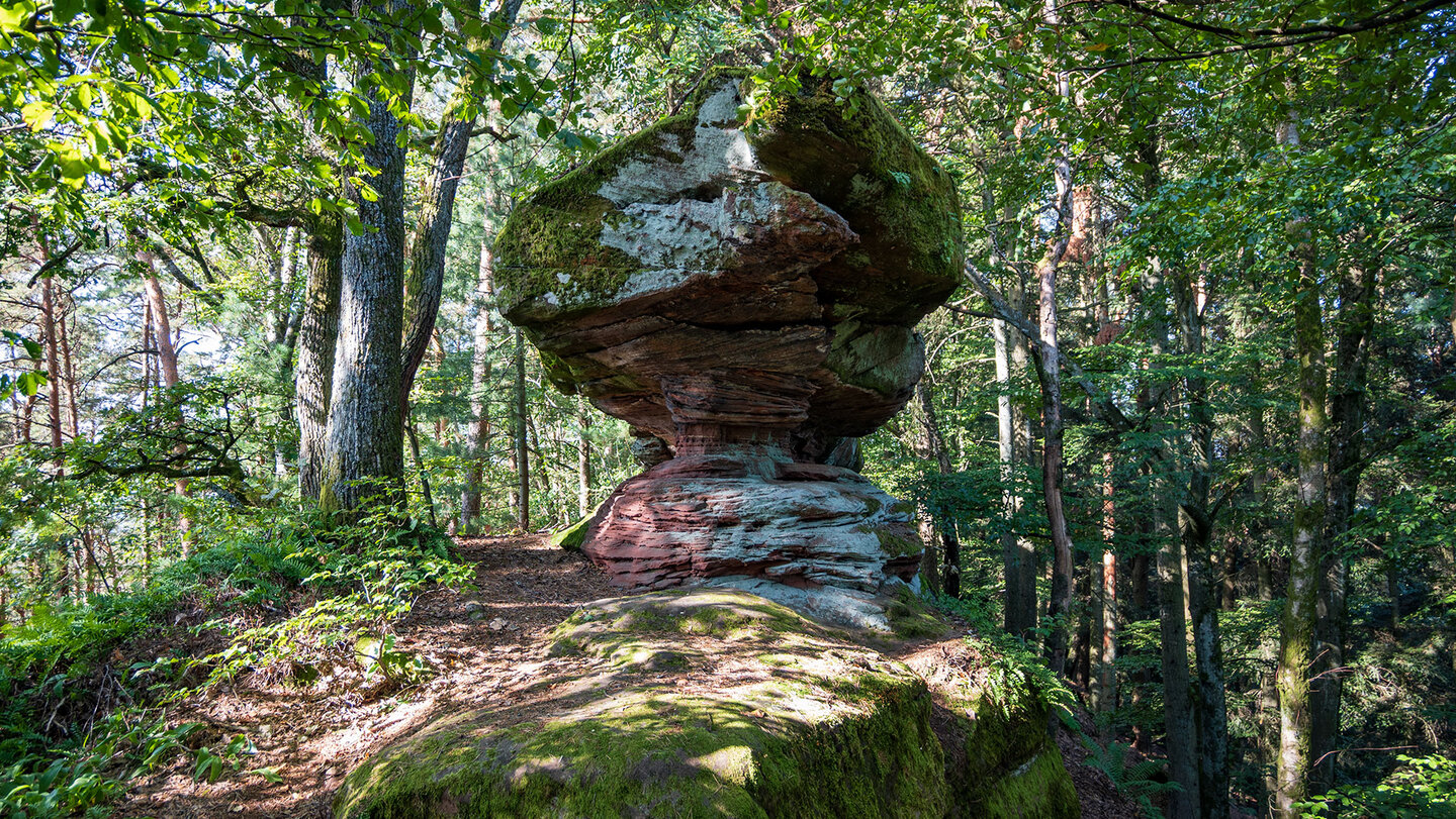 Buntsandsteinturm auf dem Jüngstberg entlang der Wanderung Buntsandsteinturm auf dem Jüngstberg
