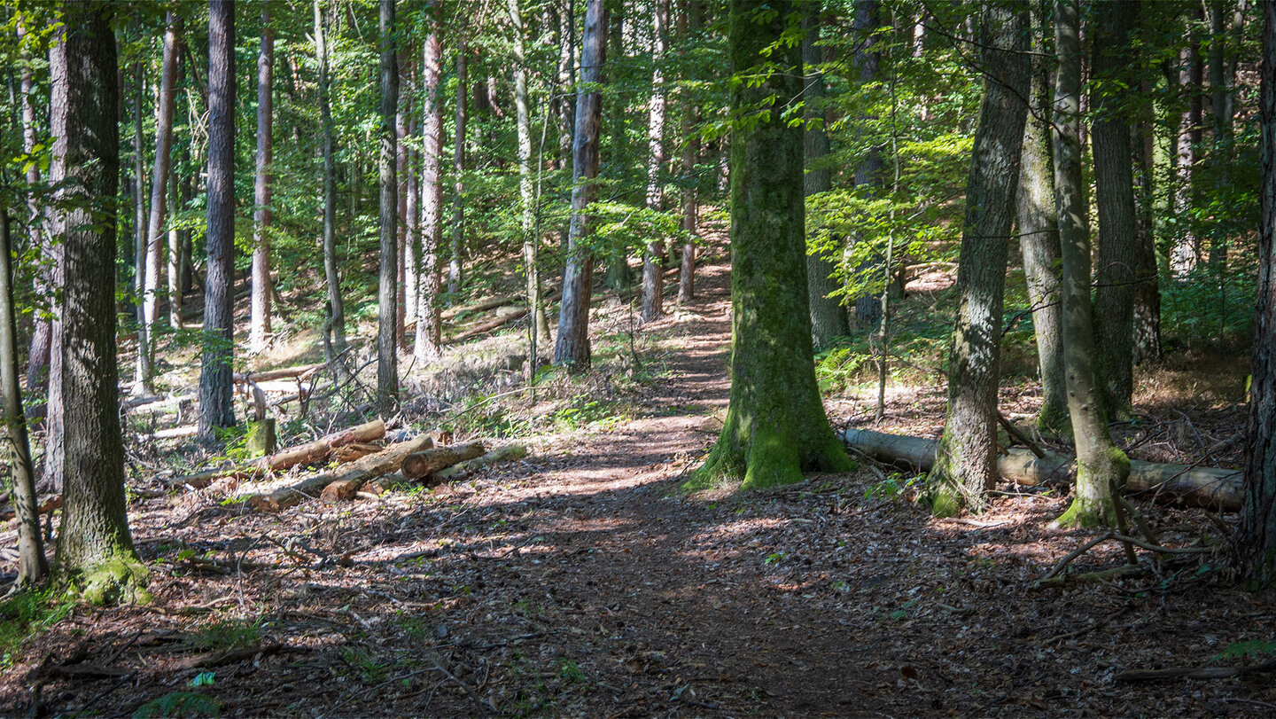 Aufstieg auf den Heidenberg in Richtung des Schlüsselfels Aufstieg auf den Heidenberg