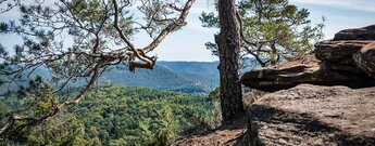 Blick auf die Burg Berwartstein