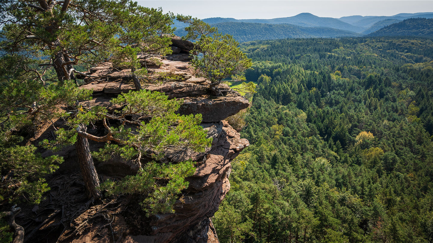 Der Schlüsselfels bildet das östlliche Ende des Heidenbergs im Dahner Felsenland Schlüsselfels auf dem Heidenberg im Dahner Felsenland