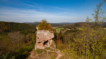 die Felsenburg Drachenfels