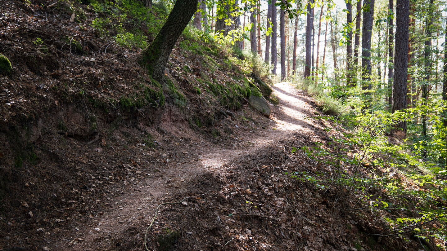 Wanderpfad des Bärensteig bei Bruchweiler-Bärenbach Wanderpfad des Bärensteig
