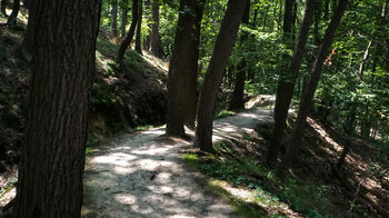 am Mühlgraben entlang zur Regensteinmühle im Naturpark Harz