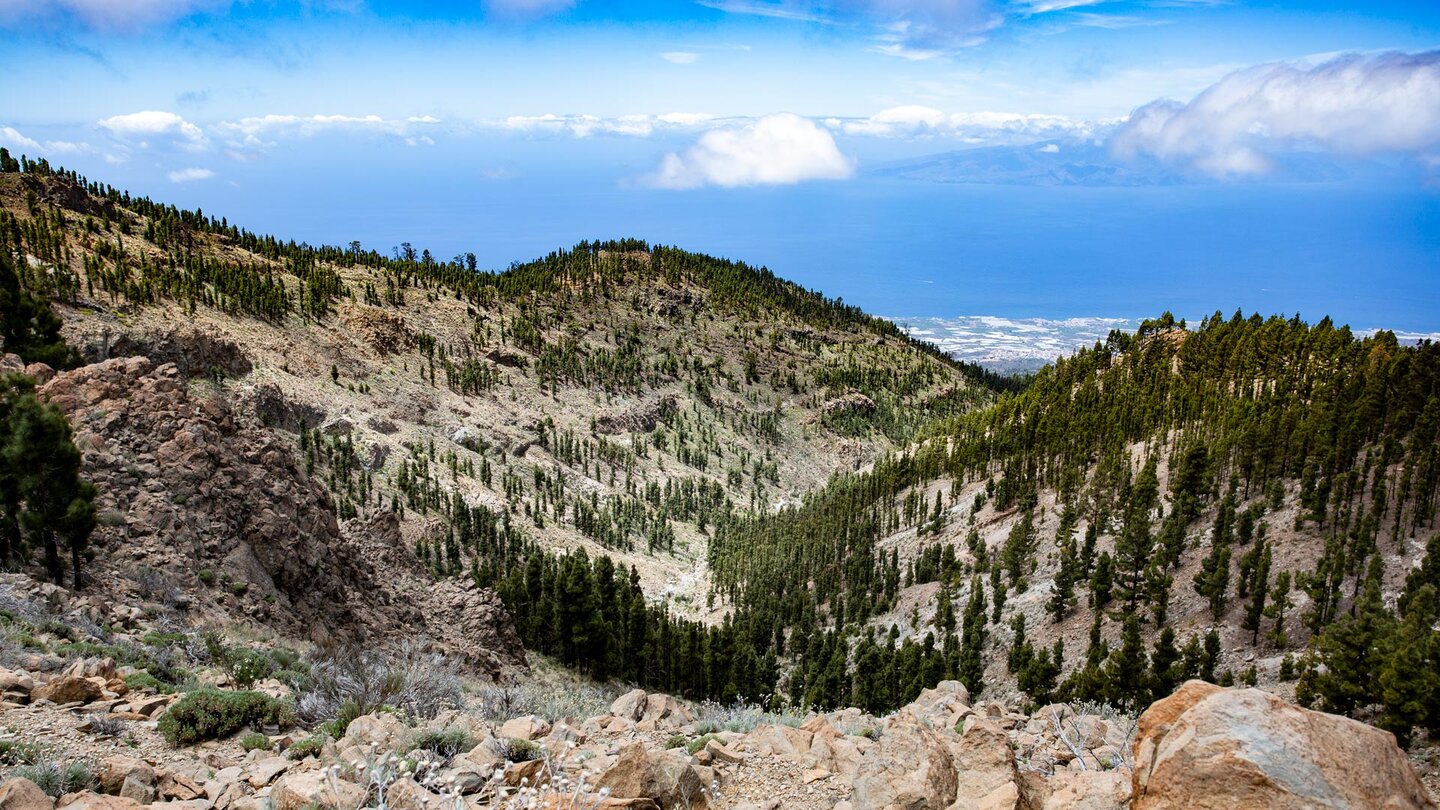 Blick über den Naturpark Corona Forestal zur Südküste Teneriffas