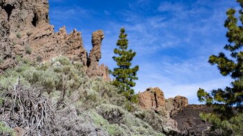 zerklüftete Felsformationen und Lavafelder am Wanderweg