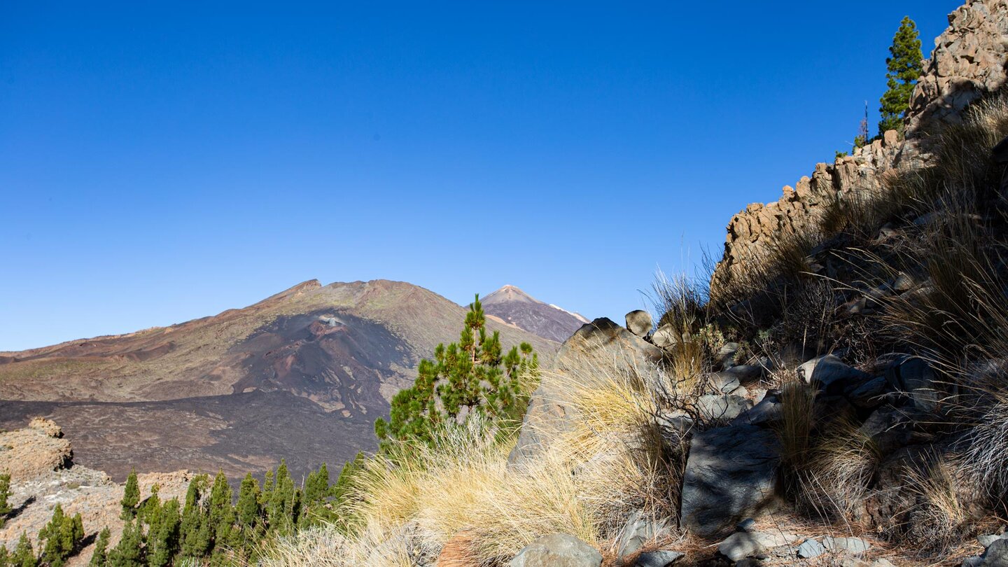 Blick über den Gipfelkamm des Montaña el Cedro auf die Narices del Teide mit Pico Viejo und Teide