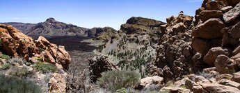 Ausblick vom Gipfelpfad des Montaña el Cedro über die Cañada del Cedro mit dem El Sombrero im Hintergrund