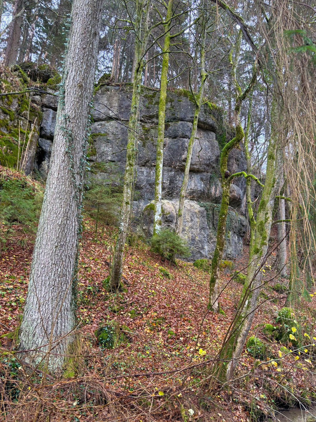 Entenstein am Rand des Wanderwegs zum Klumpertal