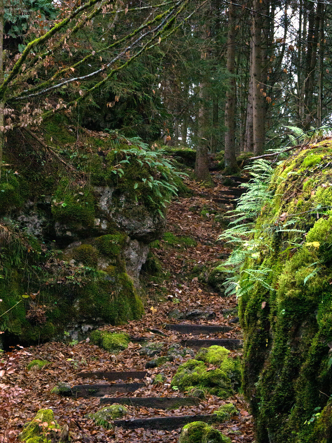 Wanderpfad zwischen Felsen und auf laubbedeckten Stufen