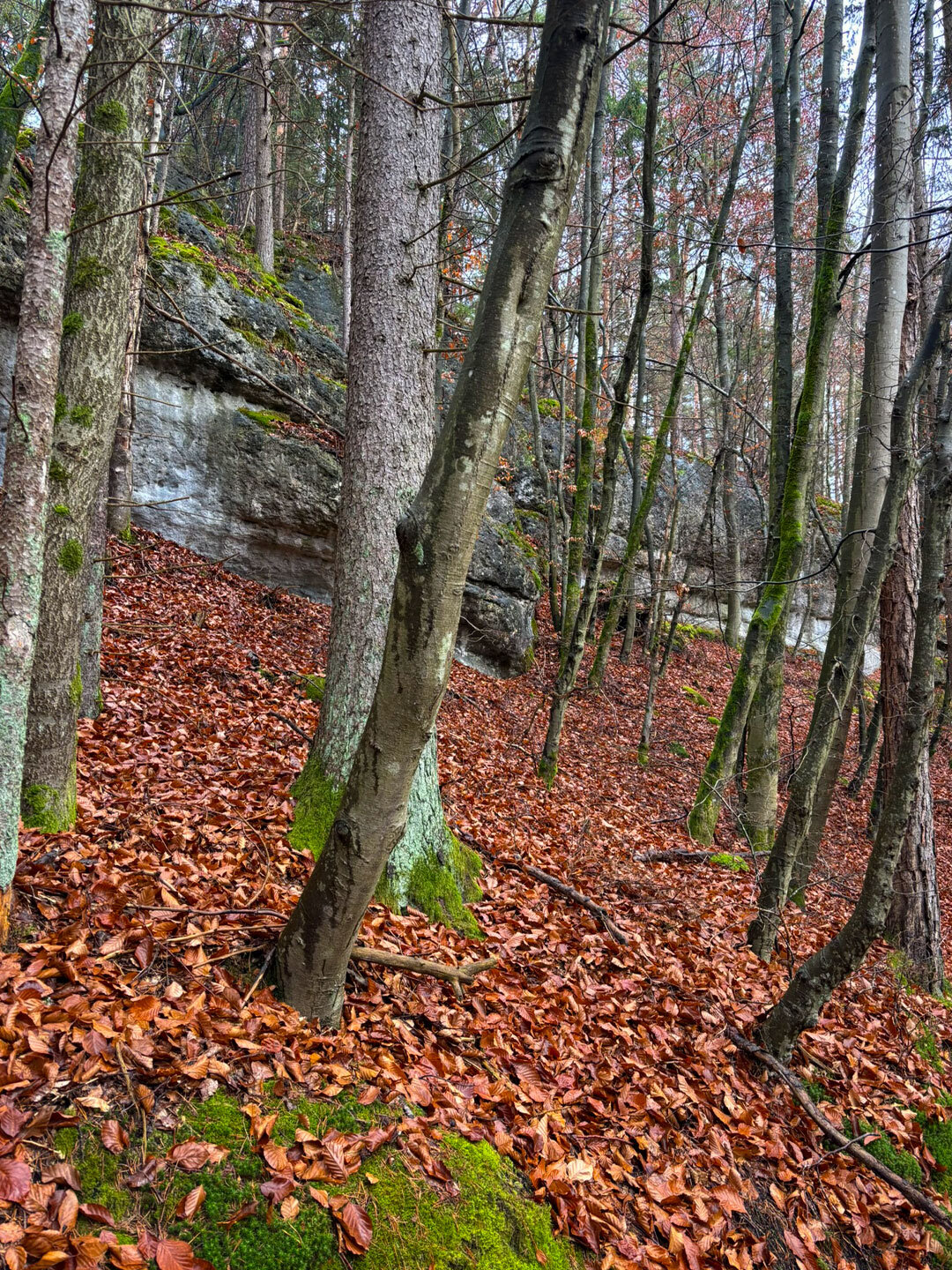Felswände im Klumpertal zwischen den Weihern