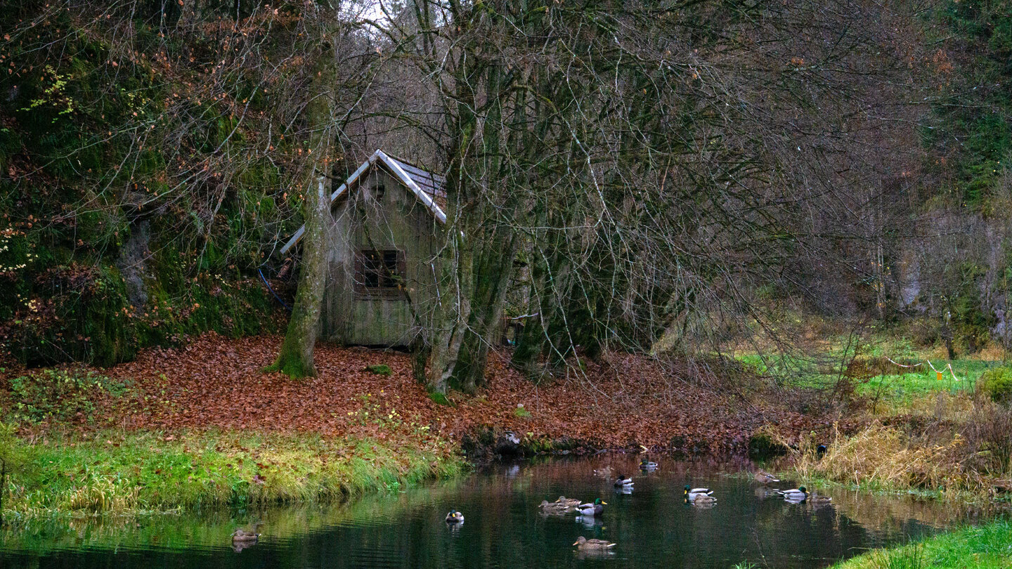 Schutzhütte am Weiher im Klumpertal