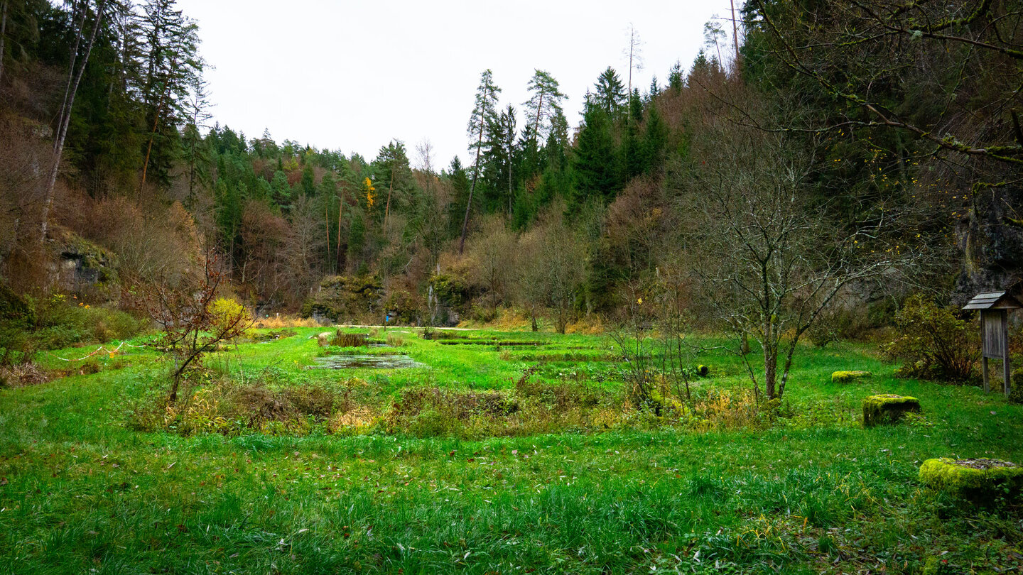 Fischteiche bei den Weihern im Klumpertal