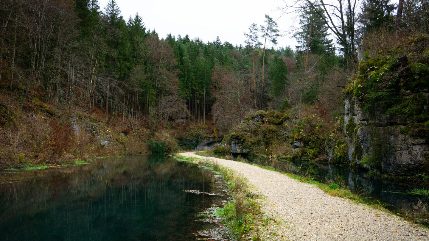 Talweg führt zwischen den Weihern im Klumpertal hindurch