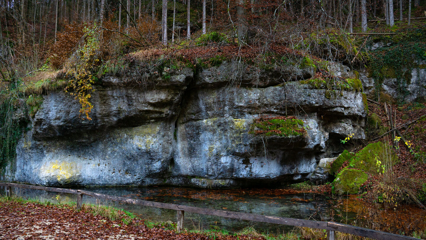Felsen voller Moos und Farn an der Klumperquelle