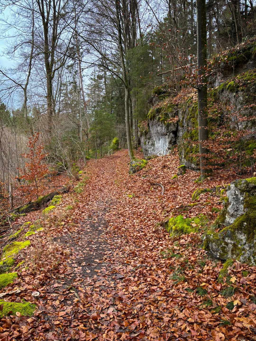 Weg entlang der Kalkfelsen im oberen Klumpertal