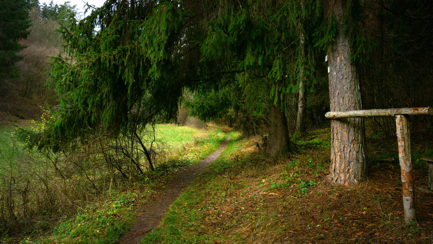 Waldpfad im oberen Klumpertal