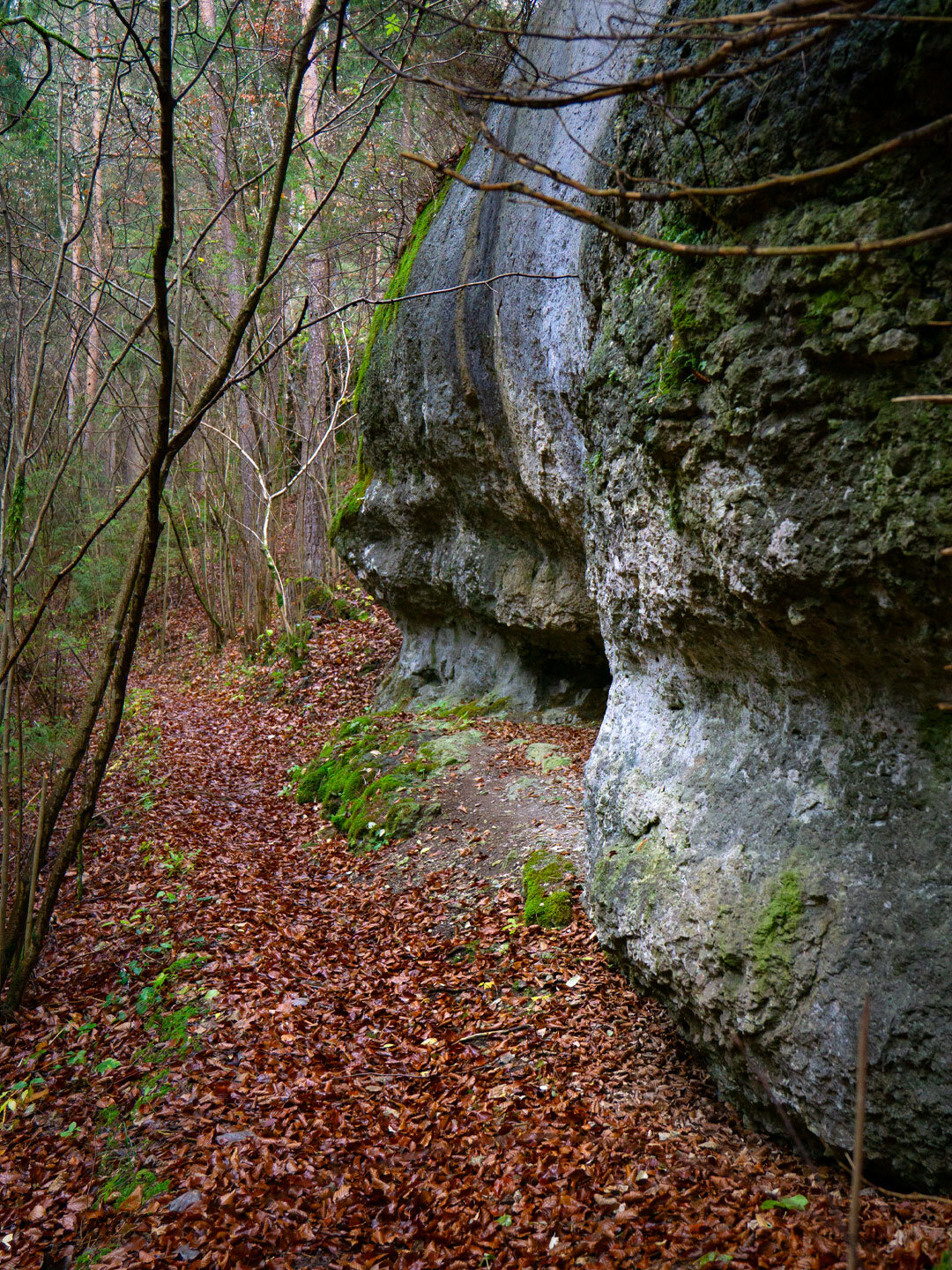 Jägersteig zwischen Bäumen und Felsen