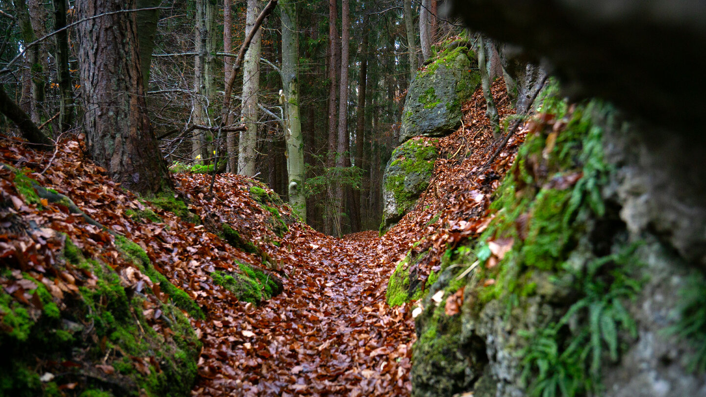 Pfad durch die Felsen am Bronner Brummer