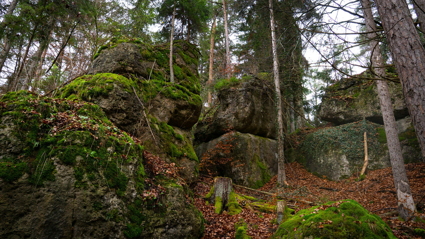Kalkfelsformationen am Jägersteig