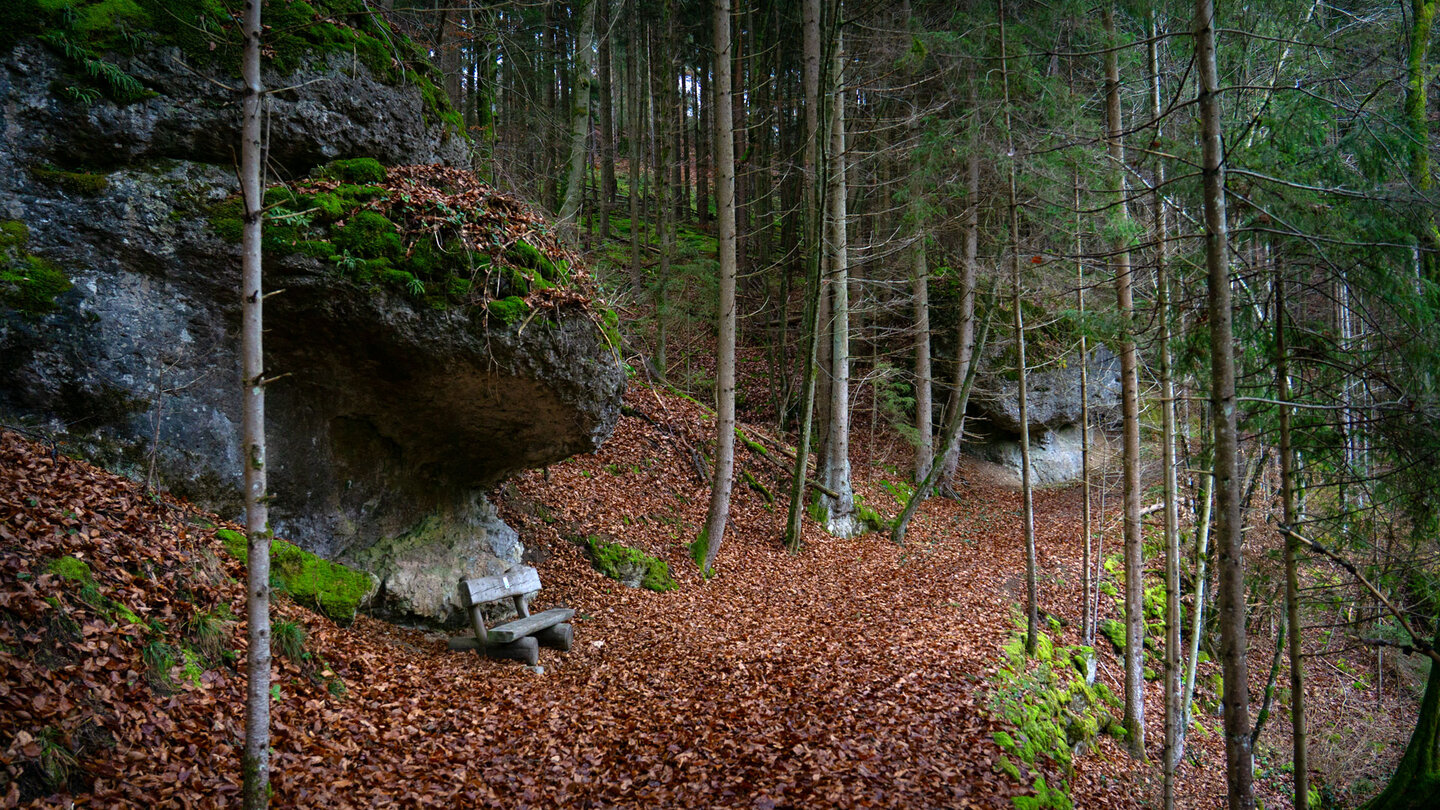 Holzbank am Jägersteig