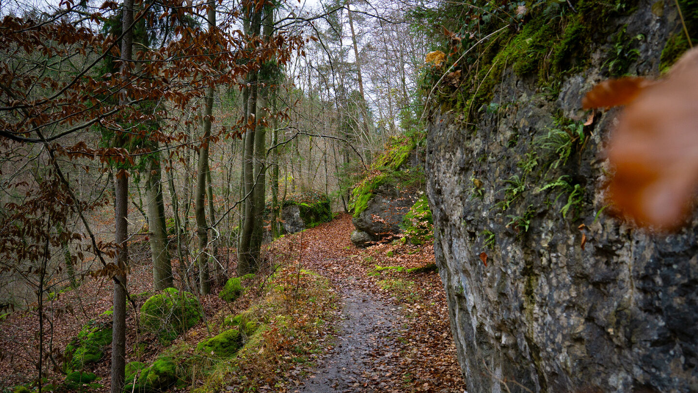 Weg zurück zur Mittelmühle im Klumpertal