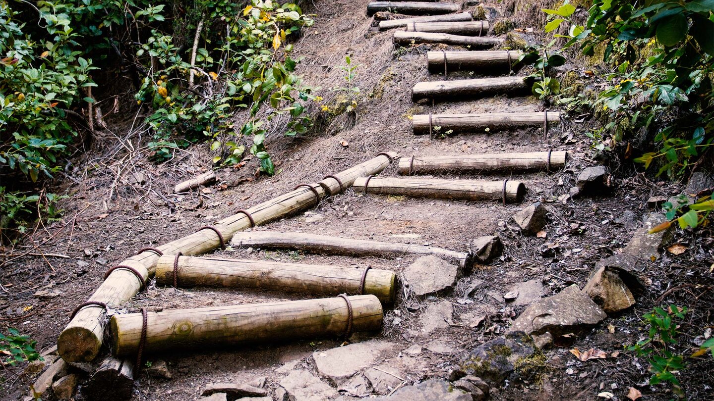 Holztreppen auf dem Waldpfad der Ruta del Agua