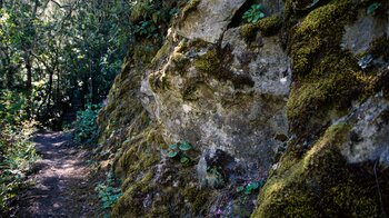 schmale Wanderwege im Barranco de las Madres