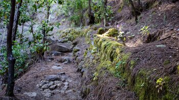 Wanderweg entlang eines Wasserkanals auf der Ruta del Agua