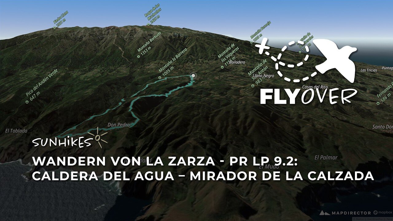 Im wilden Zauberwald von La Palma: Die Caldera del Agua Runde im tollen Flyover Video
