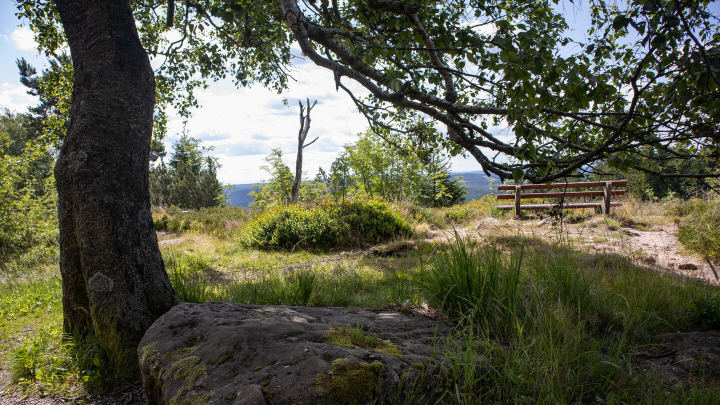 Höhenweg über den Schliffkopf