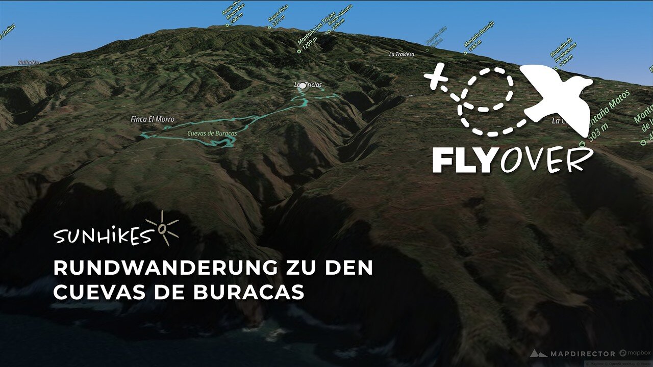 Drachenbaumhaine & Wohnhöhlen auf La Palma: Die Kulturlandschaft von Las Tricias im 3D-Flyover Video