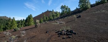 Lapilliabhänge nahe des Pico Birigoyo