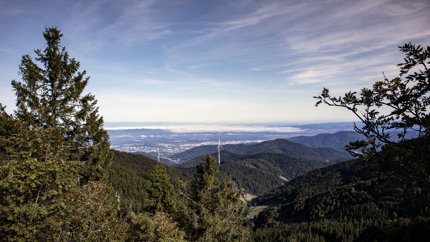 Panorama mit Freiburg und Oberrheinebene