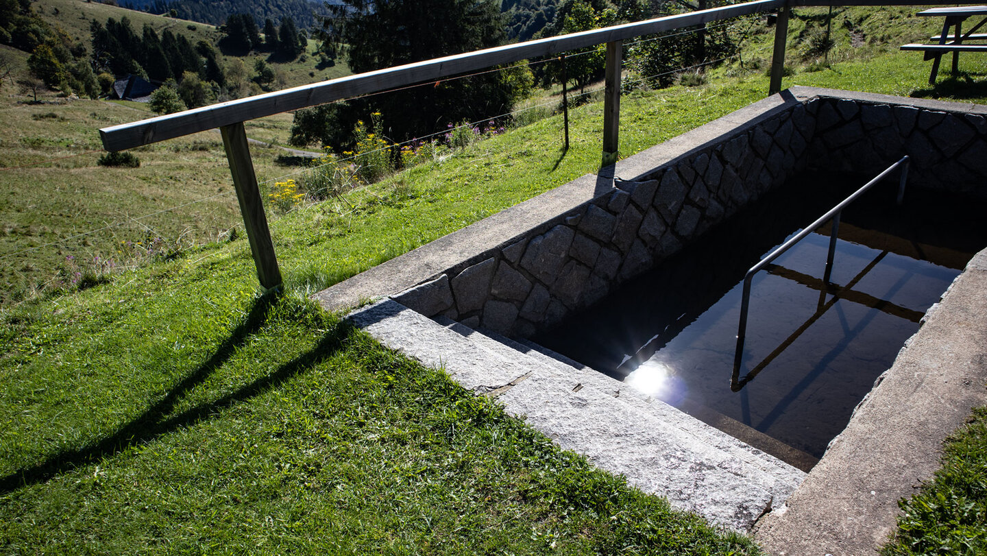 Wassertretstelle oberhalb von Hofsgrund