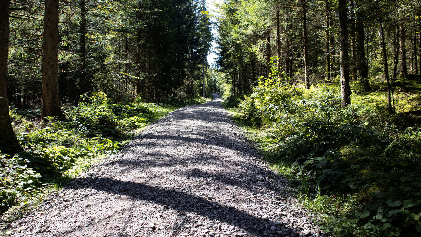 der Bänkleweg ist Teil der Schauinsland Panoramatour