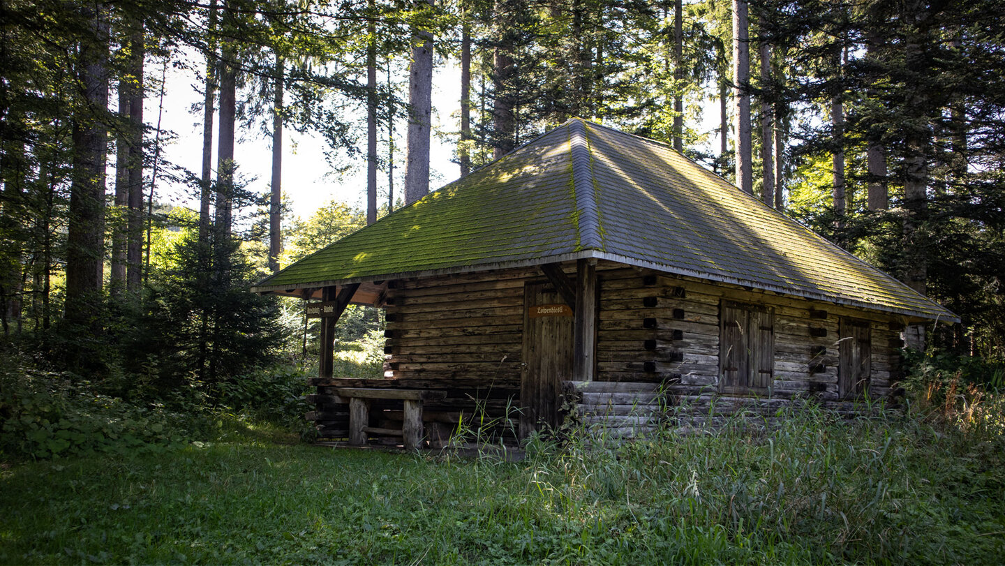 der Weg zum Loipenhiesli führt durch den Wald