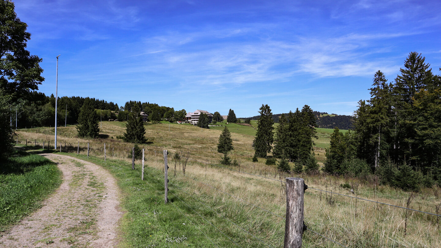 zur Halde führt der Schauinsland Panoramaweg über eine Wiesenlandschaft