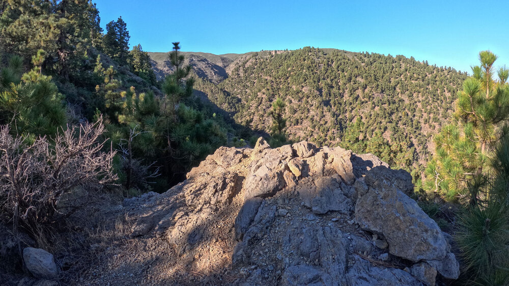 Ausblick über bewaldete Berghänge und Schluchten am Wanderweg PR-LP 8 auf La Palma