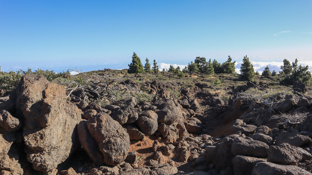 durch felsiges Terrain am Wanderweg PR-LP 8 auf La Palma
