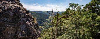 Panoramablick über die Felsformationen des Karlsruher Grats auf den Nordschwarzwald