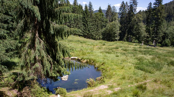 Wanderung entlang des Ellbacher Wildgehege