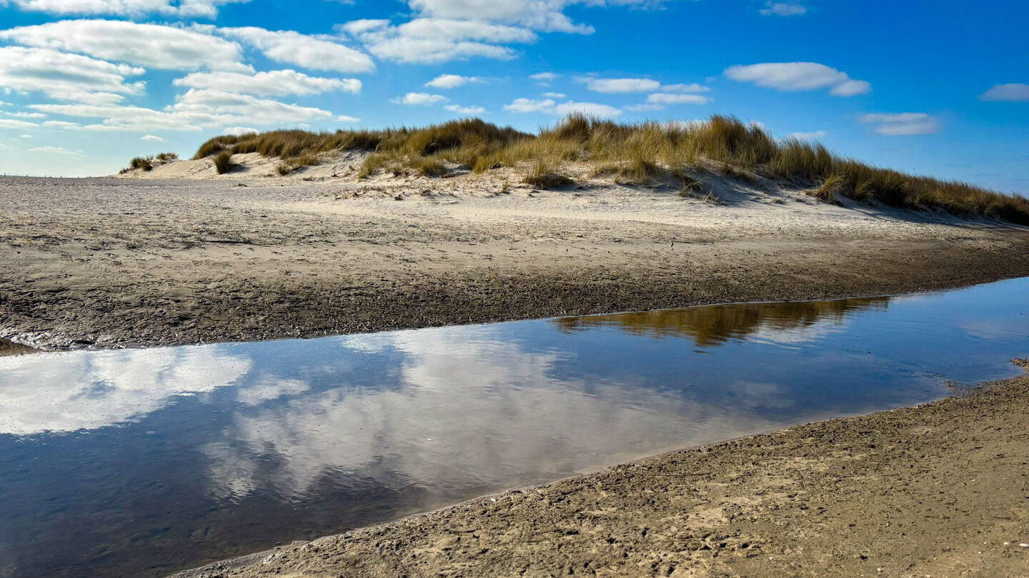 Dünen am Wattenmeer auf Langeoog