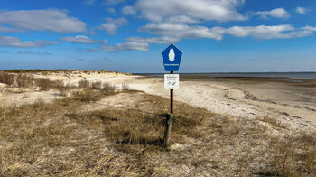 Ruhezone im Nationalpark Niedersächsisches Wattenmeer