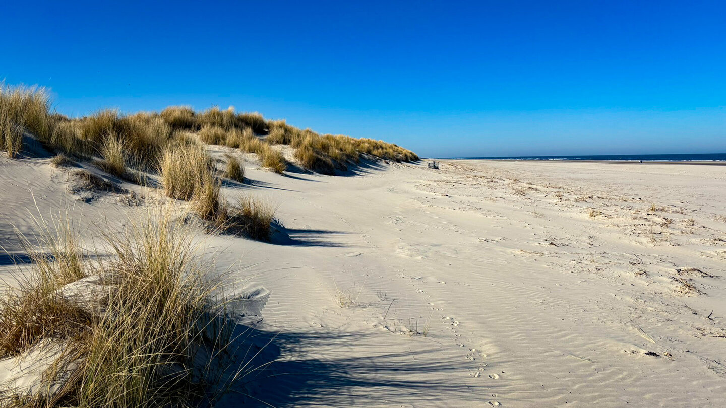 Dünen an den Seehundsbänken auf Langeoog