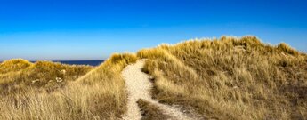 Naturlehrpfad Osterhook auf Langeoog