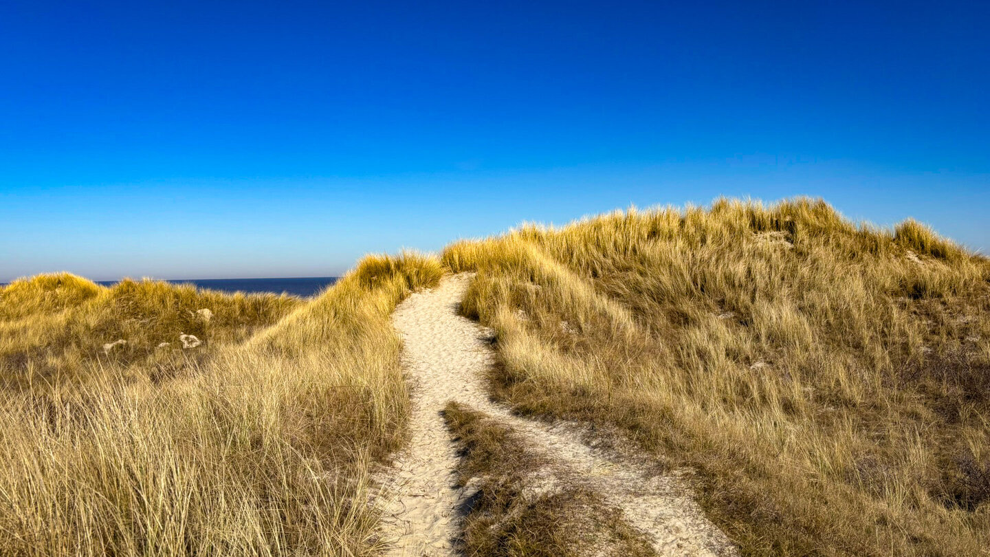 Naturlehrpfad Osterhook auf Langeoog