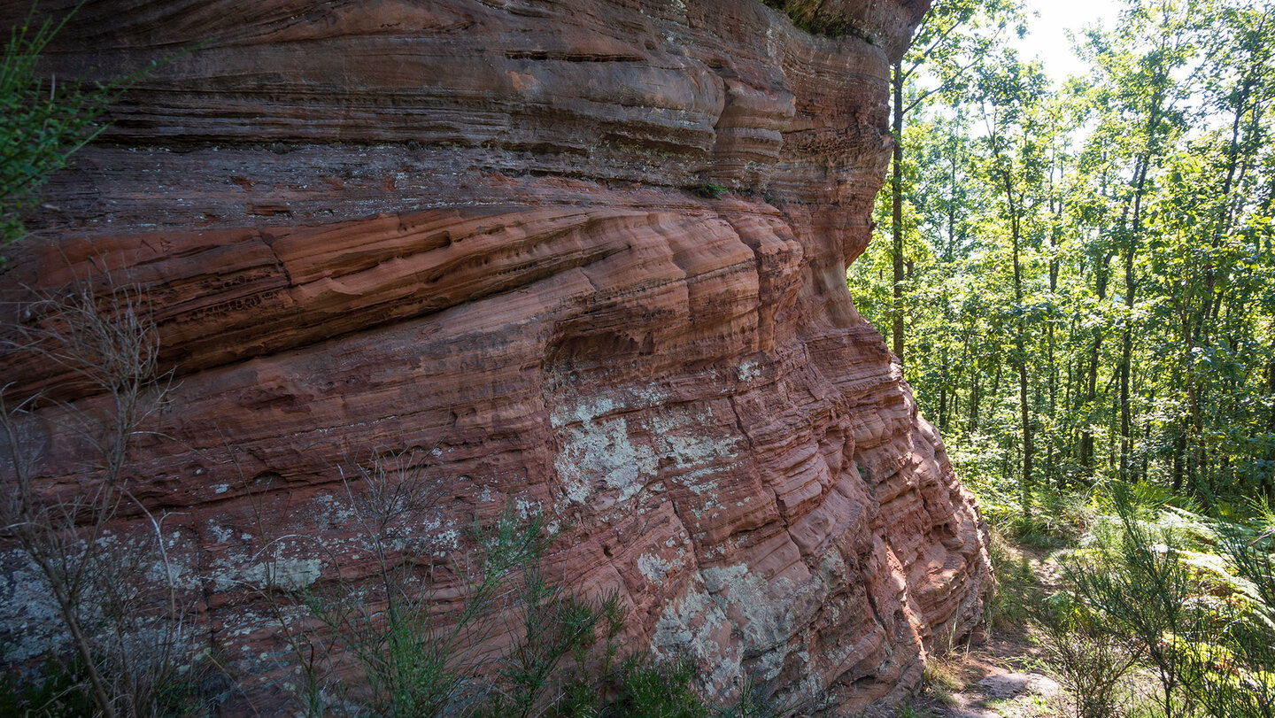 Buntsandsteinformation Eulenfels im Pfälzerwald bei Eppenbrunn Buntsandsteinformation Eulenfels im Pfälzerwald