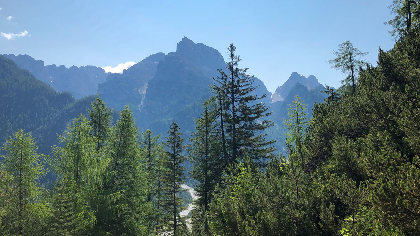Bergpanorama vom Wanderweg