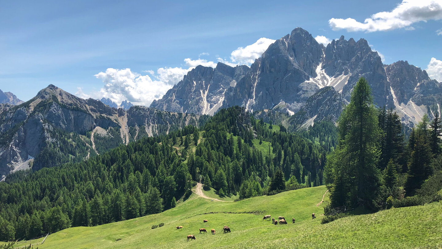 Route und den Dürrenstein im Hintergrund
