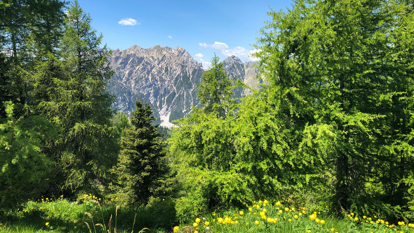 Aussicht auf umliegende Gipfelketten